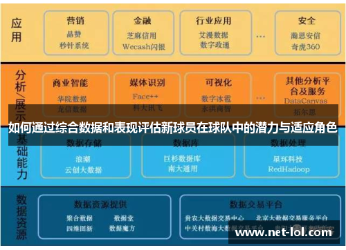 如何通过综合数据和表现评估新球员在球队中的潜力与适应角色