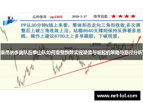 莱昂纳多离队后泰山队如何重整旗鼓实现逆袭与崛起的策略与路径分析