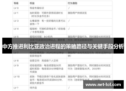 中方推进利比亚政治进程的策略路径与关键手段分析