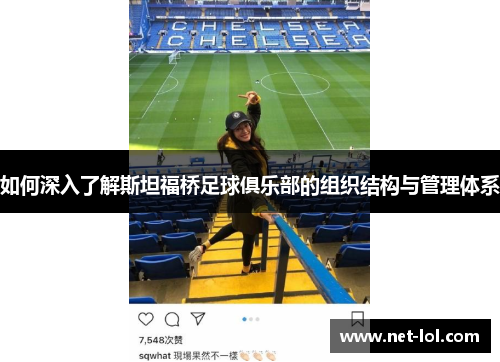 如何深入了解斯坦福桥足球俱乐部的组织结构与管理体系