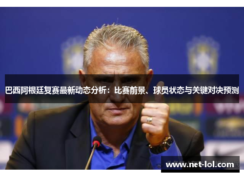 巴西阿根廷复赛最新动态分析：比赛前景、球员状态与关键对决预测